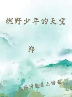 燃野少年的天空