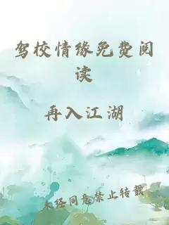 驾校情缘免费阅读