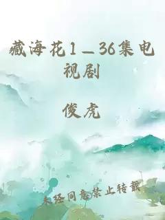 藏海花1—36集电视剧