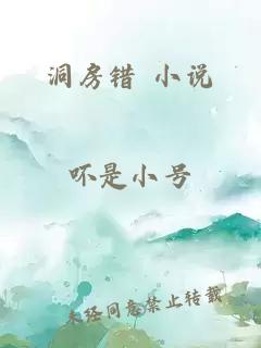 洞房错 小说
