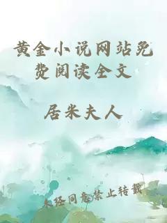黄金小说网站免费阅读全文