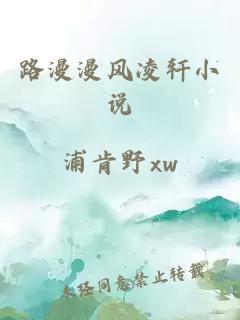 路漫漫风凌轩小说