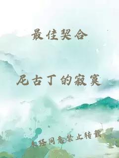 最佳契合