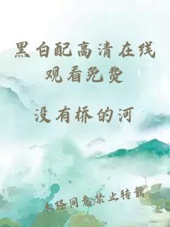 黑白配高清在线观看免费