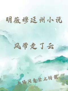 明薇穆廷州小说