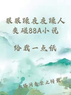狠狠躁夜夜躁人爽碰88A小说
