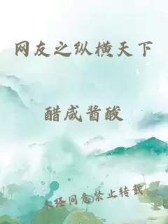网友之纵横天下