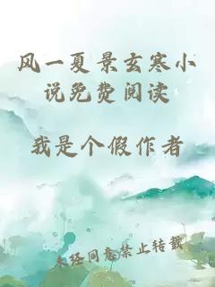风一夏景玄寒小说免费阅读