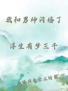 我和男神闪婚了