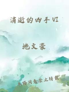 消逝的凶手Ⅵ
