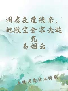 洞房夜遭换亲，她搬空全京去逃荒
