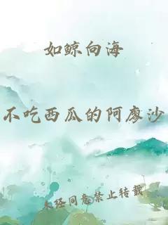如鲸向海