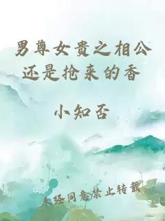 男尊女贵之相公还是抢来的香