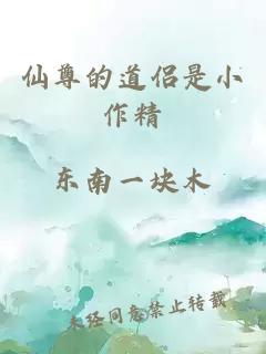 仙尊的道侣是小作精
