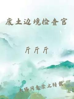 废土边境检查官