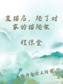 变猫后，爬了对家的猫爬架
