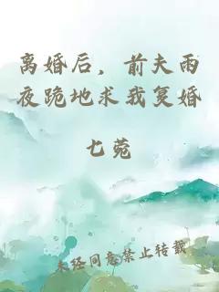 离婚后，前夫雨夜跪地求我复婚