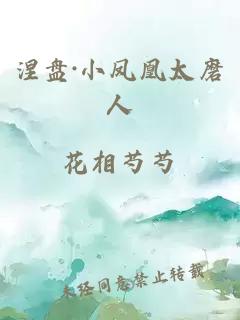 涅盘·小凤凰太磨人
