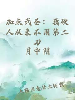 加点武圣：我砍人从来不用第二刀