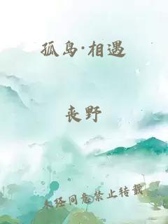 孤岛·相遇