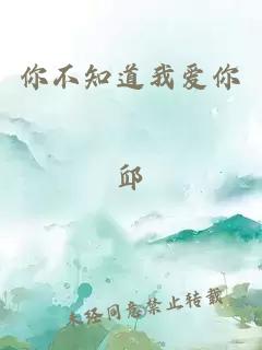 你不知道我爱你