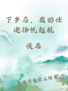下乡后，我的仕途扬帆起航