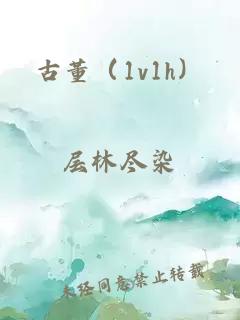 古董（1v1h）