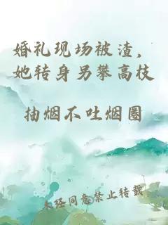 婚礼现场被渣，她转身另攀高枝