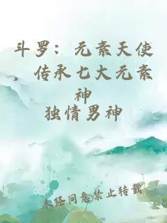 斗罗：元素天使，传承七大元素神