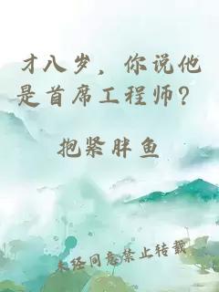 才八岁，你说他是首席工程师？
