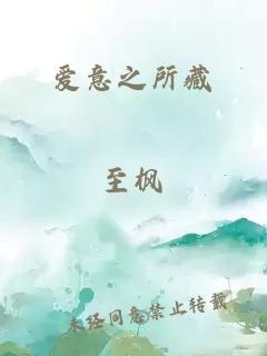 爱意之所藏