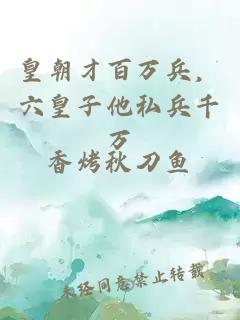 皇朝才百万兵，六皇子他私兵千万