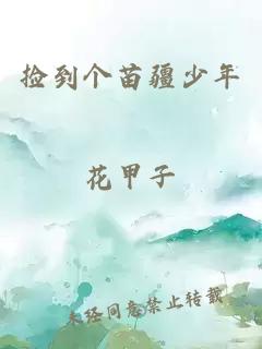 捡到个苗疆少年