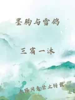 墨驹与雪鸽