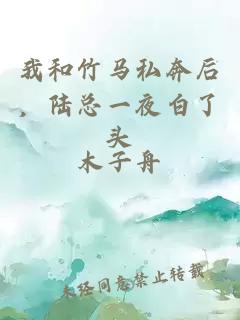 我和竹马私奔后，陆总一夜白了头