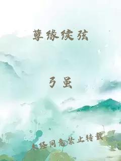 孽缘续弦