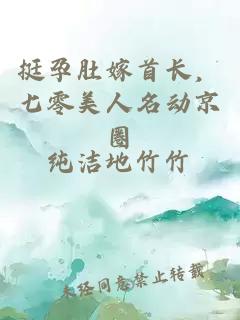 挺孕肚嫁首长，七零美人名动京圈