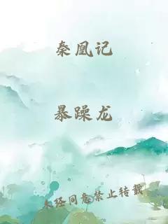 秦凰记