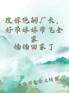 改嫁绝嗣厂长，好孕娇娇带飞全家