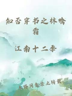 知否穿书之林噙霜