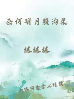 奈何明月照沟渠