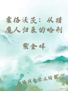 霍格沃茨：从猎魔人归来的哈利