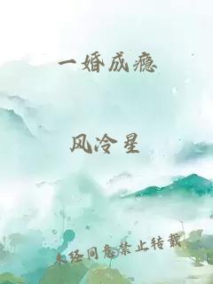 一婚成瘾