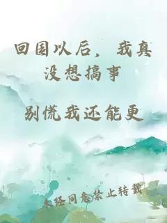 回国以后，我真没想搞事