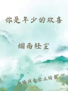 你是年少的欢喜
