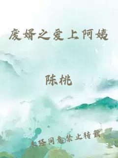 废婿之爱上阿姨