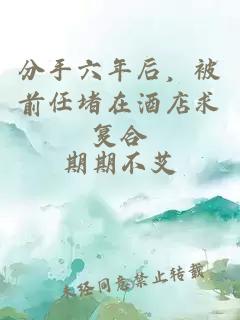 分手六年后，被前任堵在酒店求复合