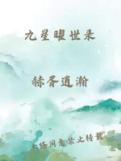 九星曜世录