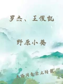 罗杰、王俊凯