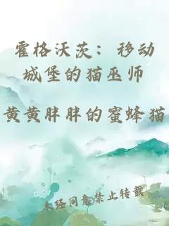 霍格沃茨：移动城堡的猫巫师